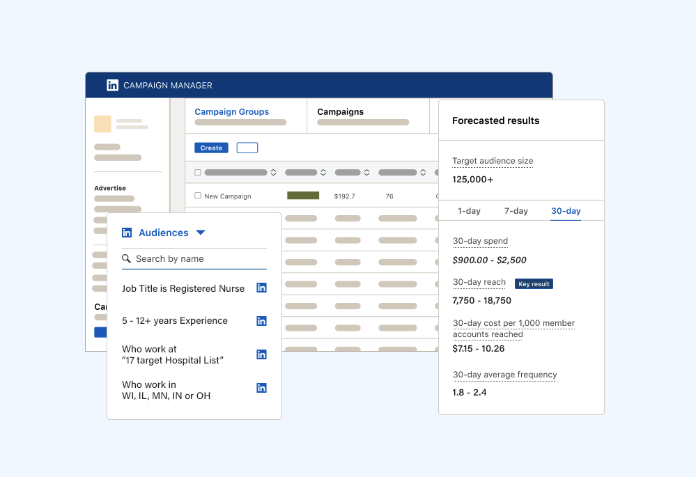 LinkedIn Audience Targeting Example
